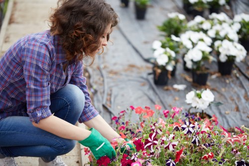 Team member assessing a Coney Hall garden for maintenance