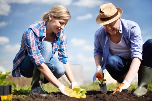 Professionally trimmed hedges in a well-maintained garden