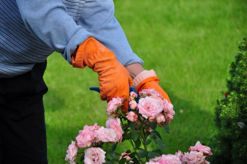 Close-up of garden maintenance tools and notes