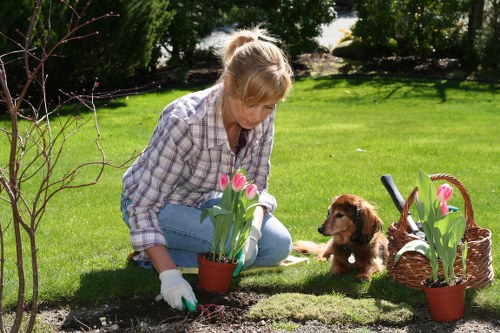 Inspector reviewing landscaping work in a garden