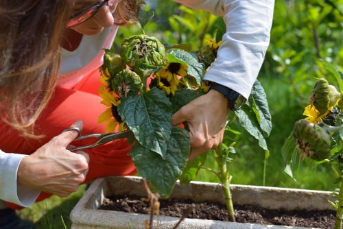 Supervisor reviewing safe working procedures with a gardener